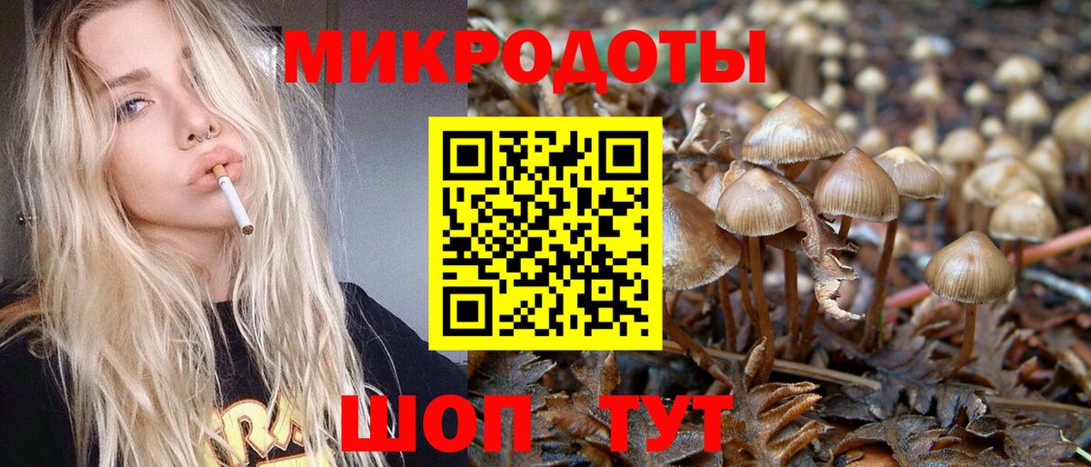 Псилоцибиновые грибы прущие грибы Губаха