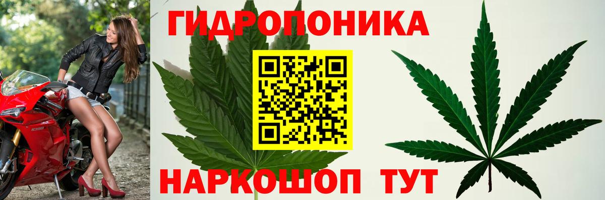Губаха  Марихуана Amnesia  Вход с VPN  Канабис THC 21% 
